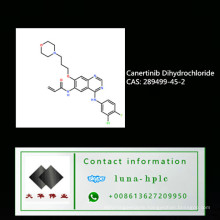 (CAS 289499-45-2) High Quality Canertinib with Good Price Dihydrochloride